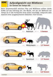 adac_verkehrssicherheit_aufprallgewicht-von-wildtieren