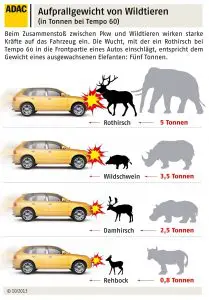 adac_verkehrssicherheit_aufprallgewicht-von-wildtieren