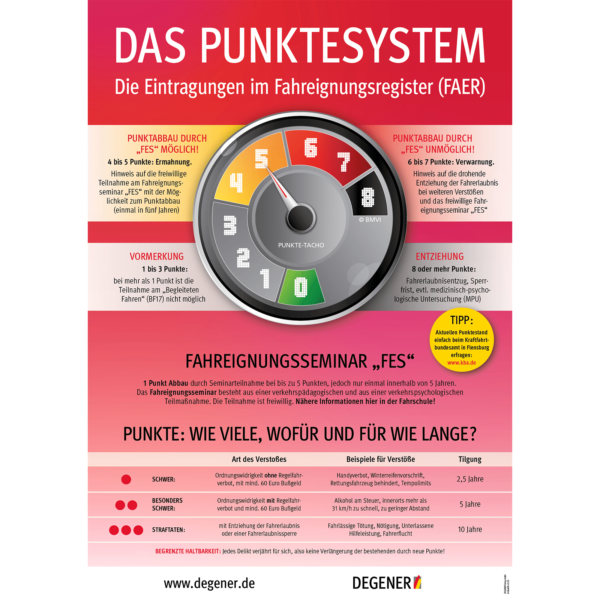 Poster "Fahreignungsseminar" (FES)-0