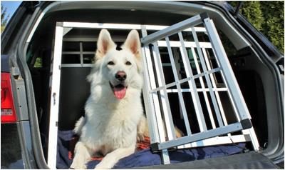 hunde-transportbox