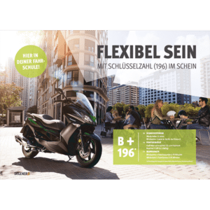 81393-B196-Poster-A1-Flexibel-sein-mit-dem-B196-Schein