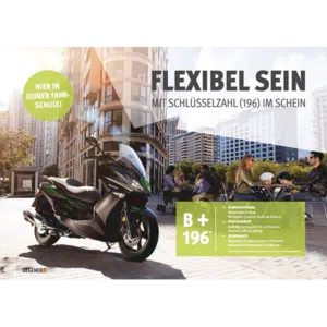 81393-B196-Poster-A1-Flexibel-sein-mit-dem-B196-Schein