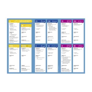 Flyer Führerscheinklassen