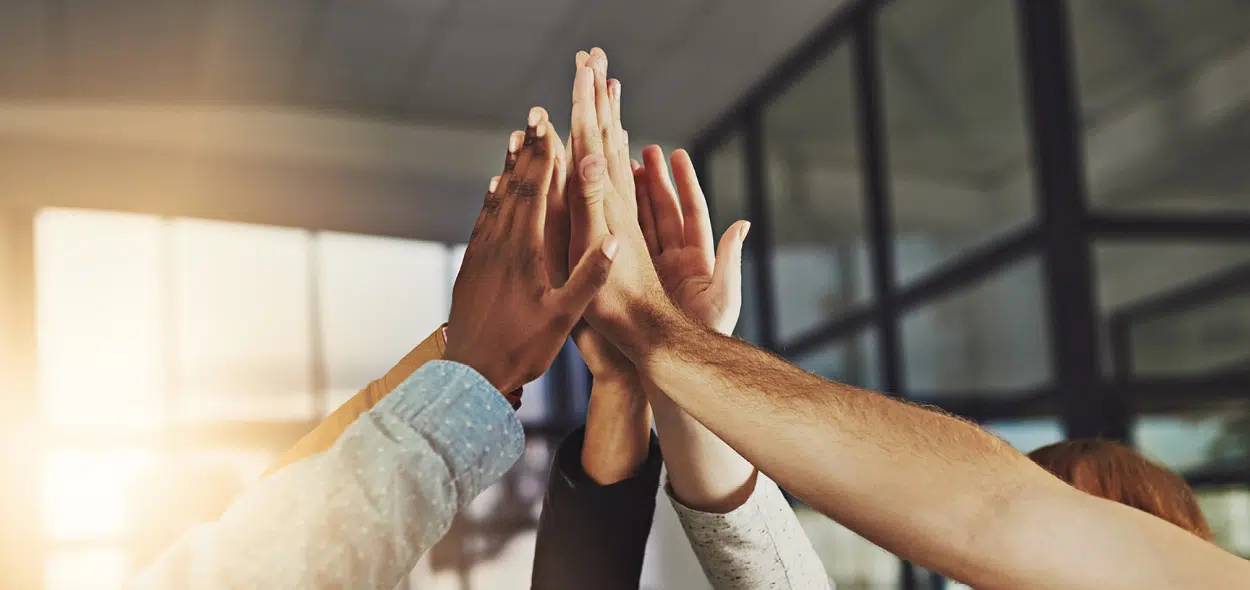 Berufseinsteiger oder Karriere Berufseinsteiger oder Karriere